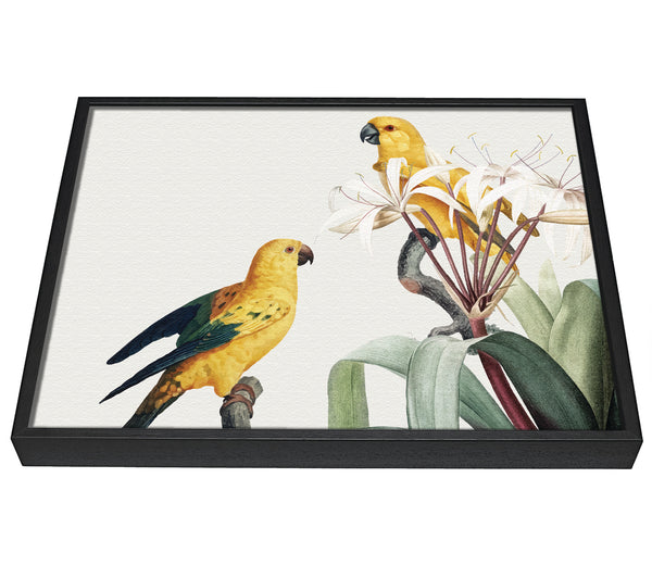 A picture of a Two Yellow Parrots framed canvas print sold by Wallart-Direct.co.uk