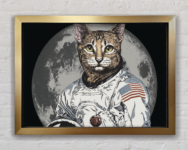 Cat Astronaut