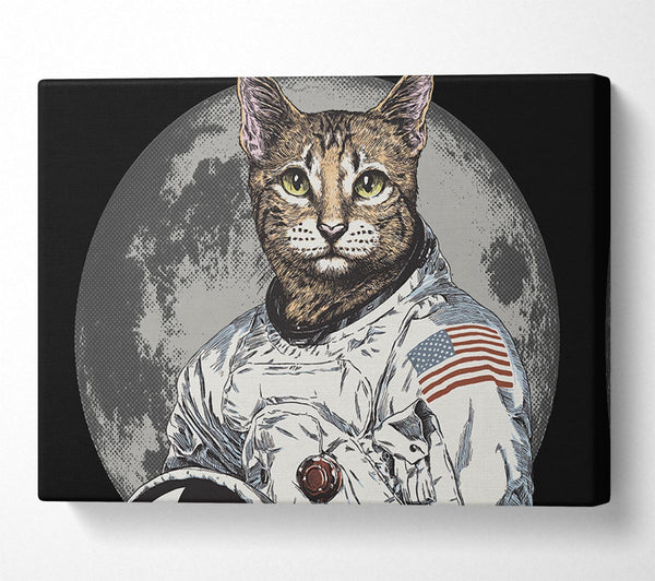 Cat Astronaut