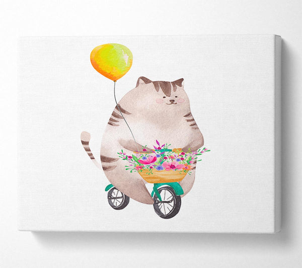 Cat Riding A Bike