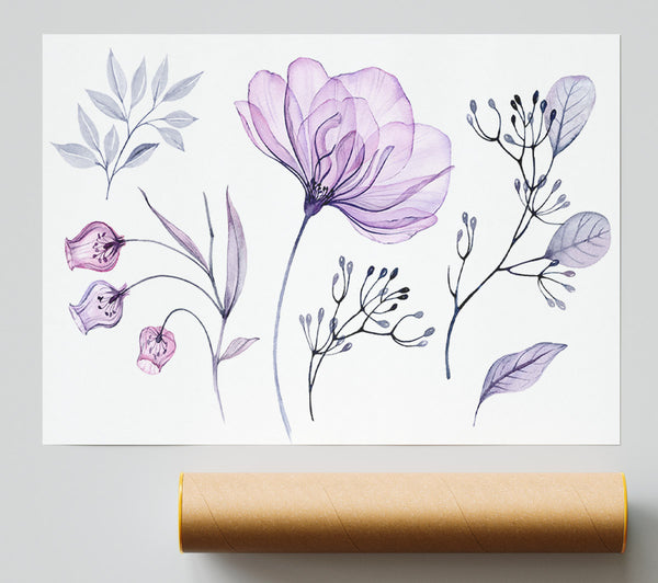 Small Lilac Crocus Illustration