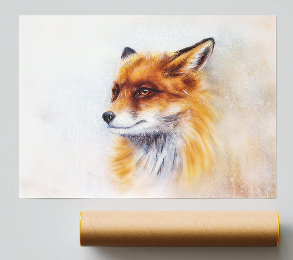 Fox Head Beauty