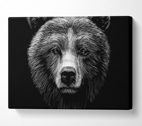 Black And White Bear Face