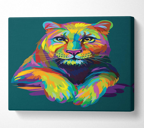 Colourful Mountain Lion