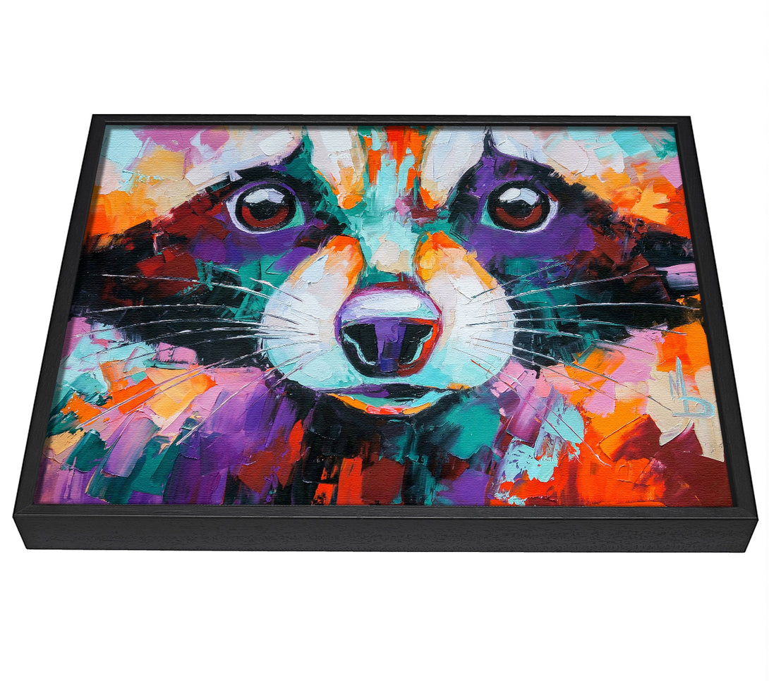 A picture of a Racoon Vivid Face framed canvas print sold by Wallart-Direct.co.uk