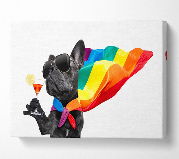 French Bulldog Pride