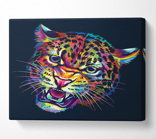 Rainbow Leopard