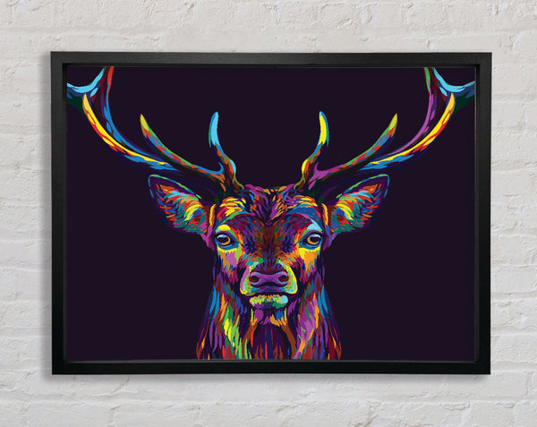 The Colourful Stag