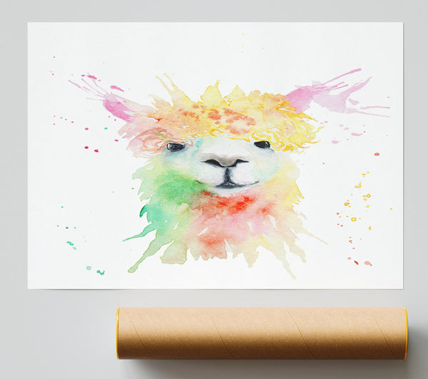 Splatter Colour Alpaca