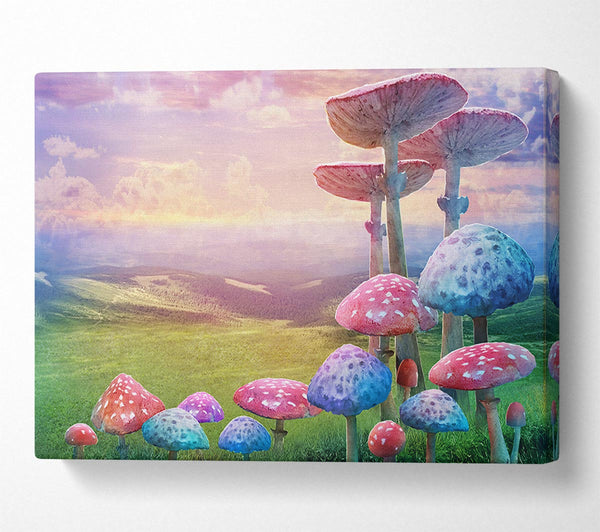 Tall Mushrooms In The Valley