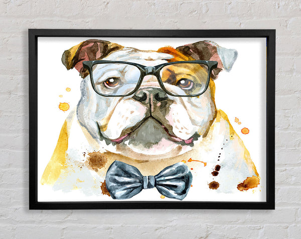 Die Bulldogge mit Brille