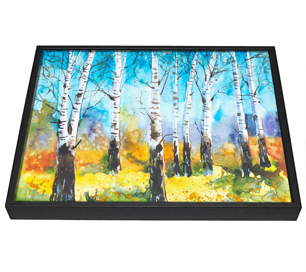 A picture of a The Beautiful Birch Trees framed canvas print sold by Wallart-Direct.co.uk