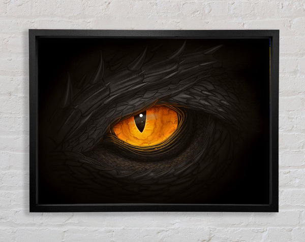 The Dragon'S Eye