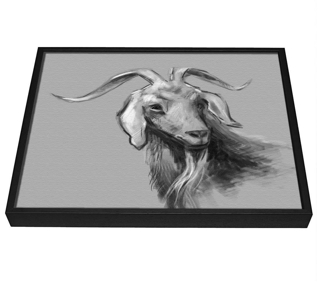 A picture of a The Sketch Goat framed canvas print sold by Wallart-Direct.co.uk