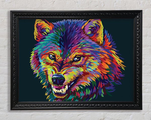 Growling Wolf Colour