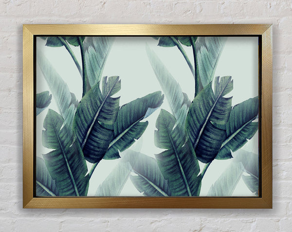 Green Banana Leaves