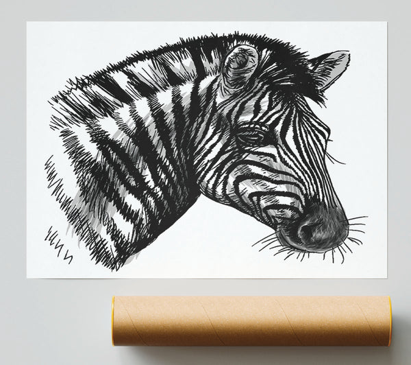 Black And White Zebra Head