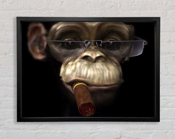 The Chimp Cigar Smoker