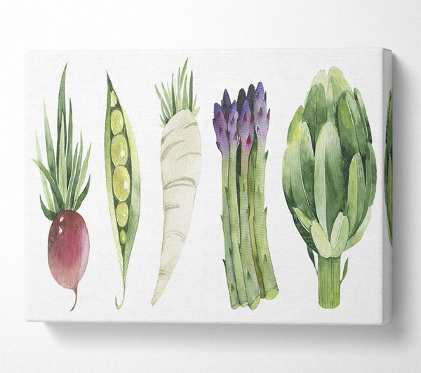 Set Of 5 Veg