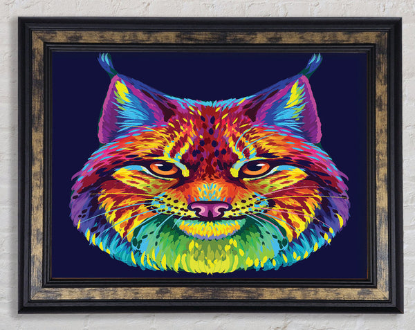 Vibrant Lynx Cat