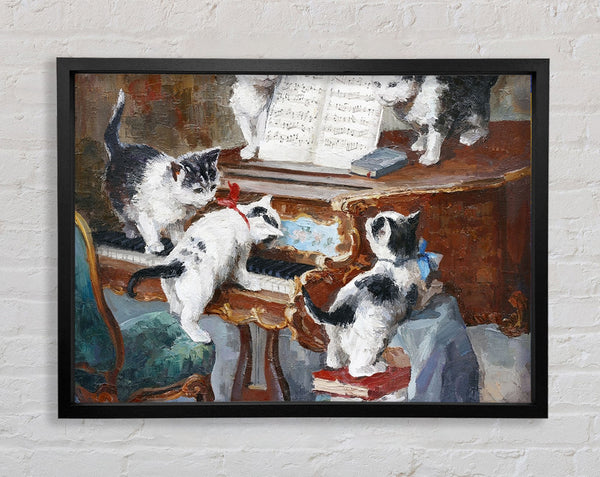 Die Katzen spielen Klavier