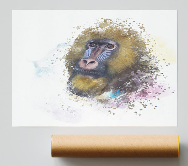 Mandrill Watercolour Splash