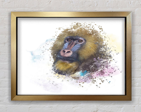 Mandrill Aquarell Spritzer