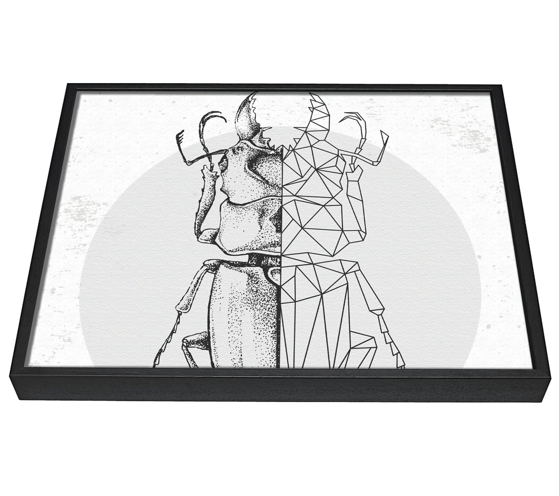 A picture of a The Stag Beetle Sketch framed canvas print sold by Wallart-Direct.co.uk