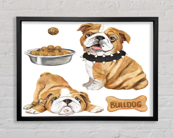 Der Bulldoggenwelpe