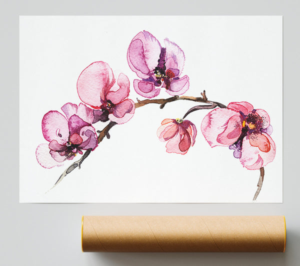 The Pink Orchid Branch Single