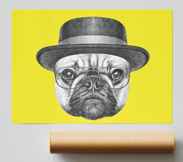 The Pug With A Hat