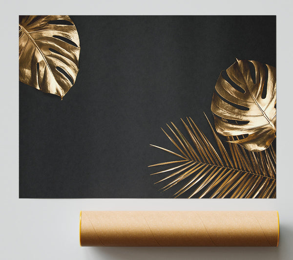 Gold Leaf Palm