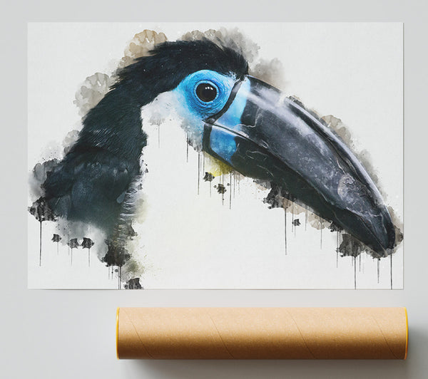 Toucan Watercolour