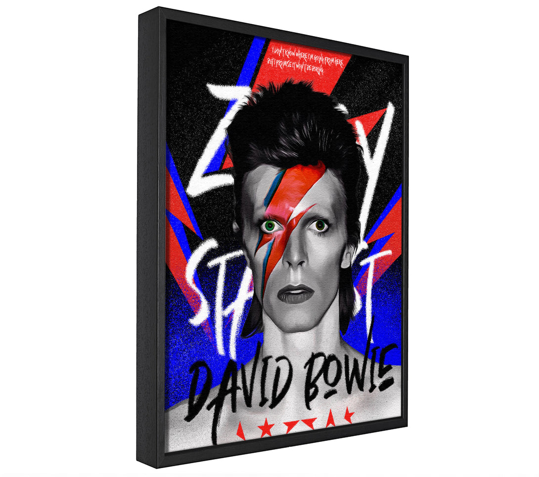 A picture of a David Bowie Ziggy Stardust framed canvas print sold by Wallart-Direct.co.uk