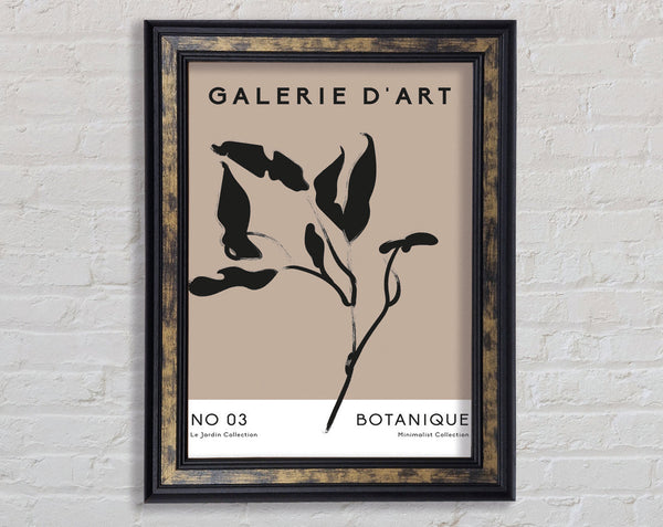 Galerie Collection Plant