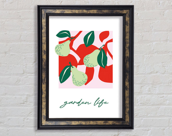 Garden Life Pears