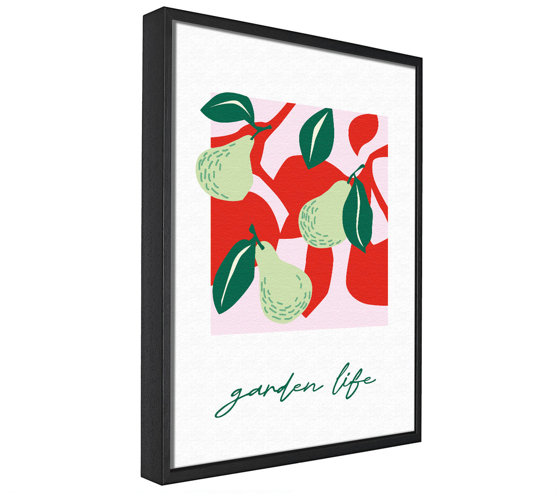 A picture of a Garden Life Pears framed canvas print sold by Wallart-Direct.co.uk