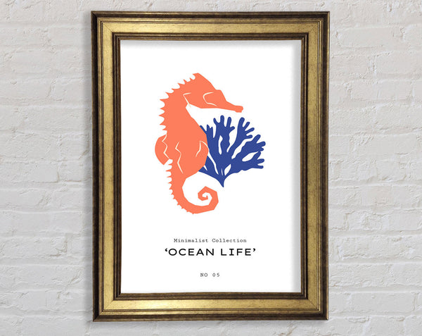 Ocean Life