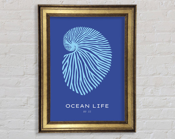 Ocean Life Shell Blue