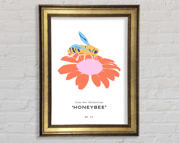 Modern Honey Bee