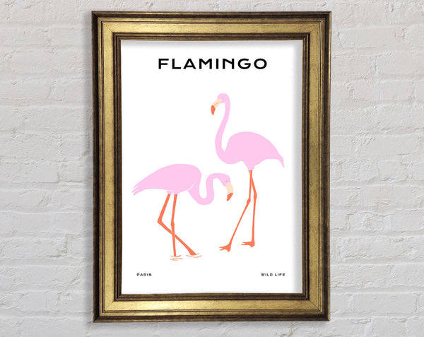 Pink Flamingo