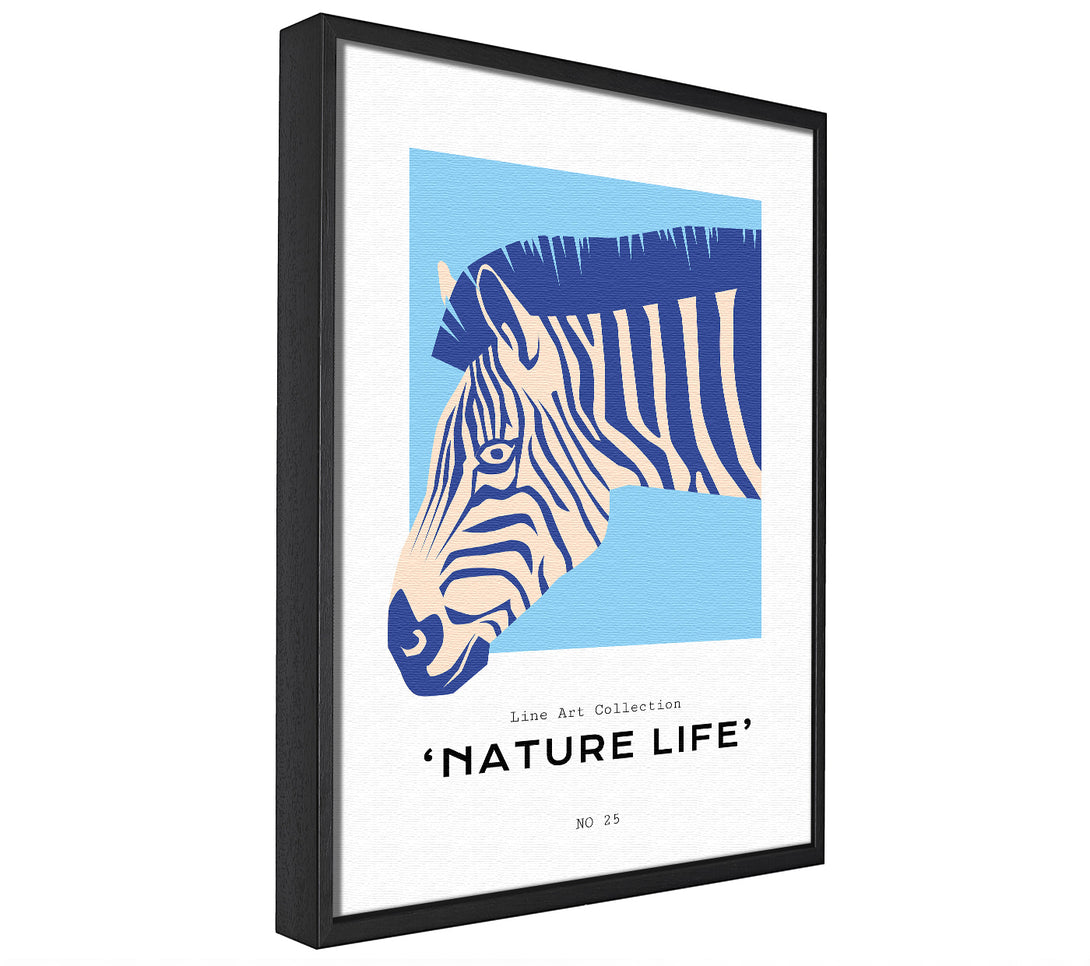 A picture of a Zebra Nature framed canvas print sold by Wallart-Direct.co.uk