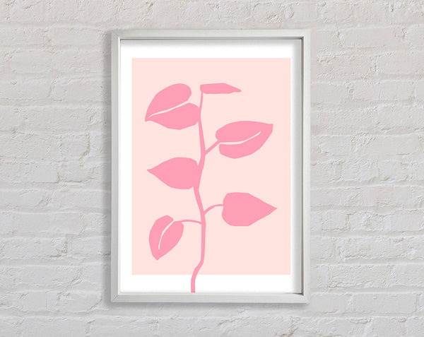 Simple Pink Plant