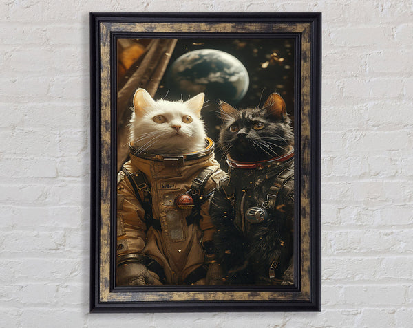 Astronaut Cats