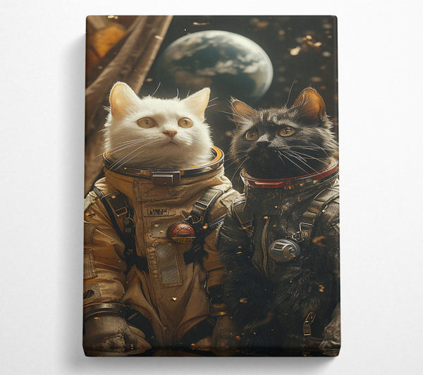 Astronaut Cats