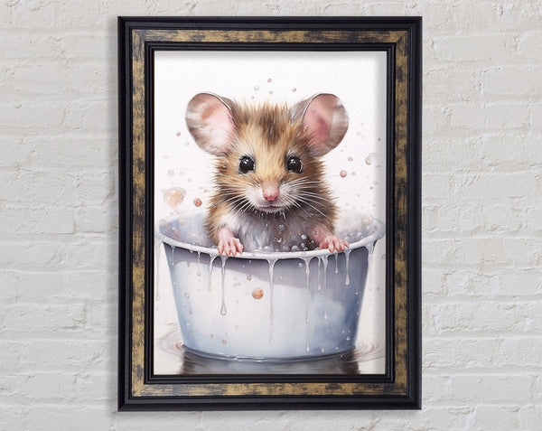 Baby Mouse Bath