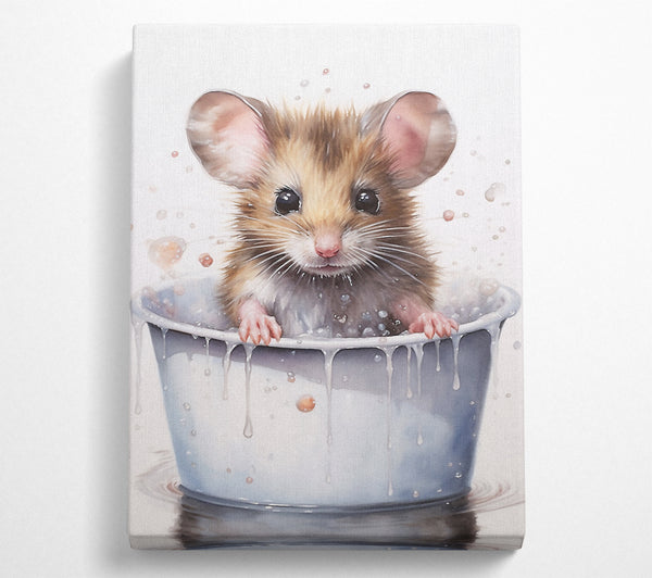 Baby Mouse Bath