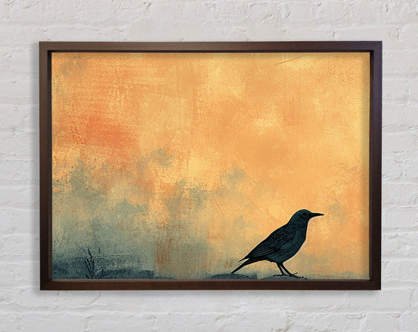 Walnut Bird Sunset