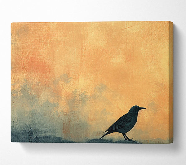 Black Bird Sunset