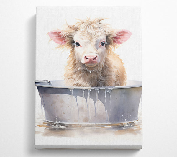 Cow Bath